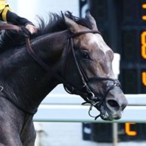 Meet your Posher, Summer